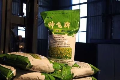 我縣神飛生物科技股份簽訂超千萬元大單，引領復合微生物肥料研發新篇章