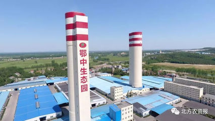 以品牌引領綠色農業 復合微生物肥料研發的新時代